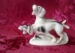 Porseleinen jachthonden. Jaren '50, Ophalen of Verzenden, Zo goed als nieuw, Dier