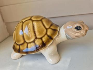  Llardo/NAO, PAL?- Schildpad zeer mooi & onbeschadigd beschikbaar voor biedingen