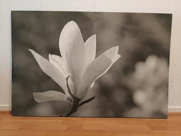 Schilderij Magnolia op 4 verschillende manieren op te hangen beschikbaar voor biedingen