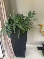 Mooie grijze stenen pot, Tuin en Terras, Bloempotten, Ophalen of Verzenden
