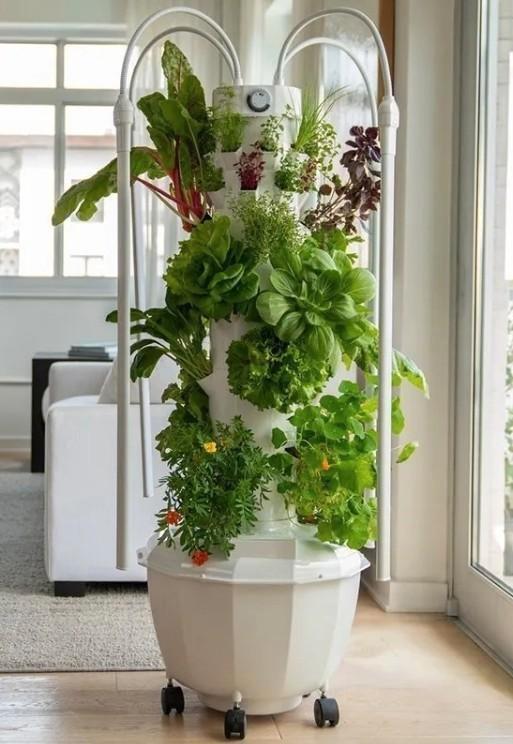 TOWER GARDEN, Huis en Inrichting, Kamerplanten, Minder dan 100 cm, Halfschaduw, Ophalen of Verzenden