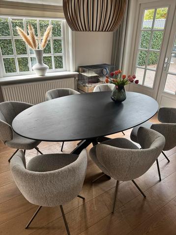 Ovale Eettafel - Stijlvol en Modern beschikbaar voor biedingen