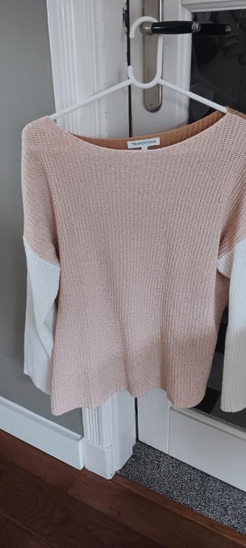 TRUI TRAMONTANA L beschikbaar voor biedingen