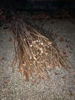 Snoeihout, Minder dan 3 m³, Ophalen, Takken