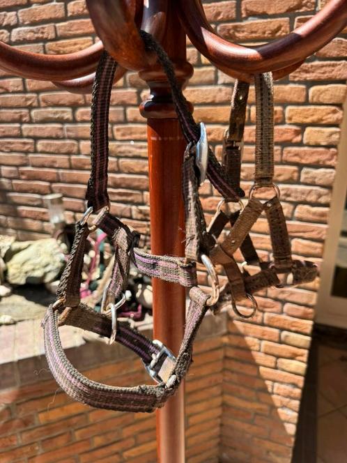 Halsters, voor de kleinste Veulentjes, Dieren en Toebehoren, Paarden en Pony's | Hoofdstellen en Tuigage, Zo goed als nieuw, Overige soorten