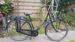 Edwards omafiets 28 inch Frame maat 52 cm hoog Zwart mat, Fietsen en Brommers, Fietsen | Dames | Omafietsen, 50 tot 53 cm, Ophalen