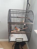 Mooie oude vogelkooi, Ophalen, Zo goed als nieuw, Metaal, Vogelkooi