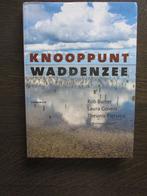 Knooppunt Waddenzee.  (Bornmeer) 2016, Boeken, Nieuw, Ophalen of Verzenden, 20e eeuw of later