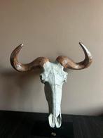 Home deco skull, Ophalen of Verzenden, Nieuw