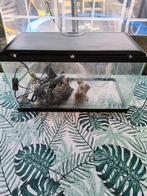 Aquarium, Dieren en Toebehoren, Vissen | Aquaria en Toebehoren, Ophalen, Zo goed als nieuw, Leeg aquarium