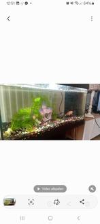 aquarium evt ruilen tuinslang mininimal 8 meter met kaanstuk, Dieren en Toebehoren, Vissen | Aquaria en Toebehoren, Ophalen, Leeg aquarium