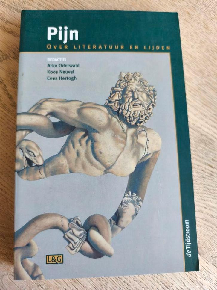 Pijn, Boeken, Overige Boeken, Zo goed als nieuw, Ophalen of Verzenden