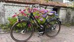 Giant Triple x maat M, Ophalen, Gebruikt, 47 tot 50 cm, Giant