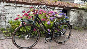 Giant Triple x maat M beschikbaar voor biedingen