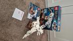 Lego Harry Potter 75979	Hedwig, Ophalen of Verzenden, Gebruikt, Complete set, Lego