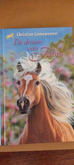 De Droom van Fabio - Christine Linneweever, Boeken, Ophalen of Verzenden, Gelezen, Christine Linneweever, Fictie algemeen