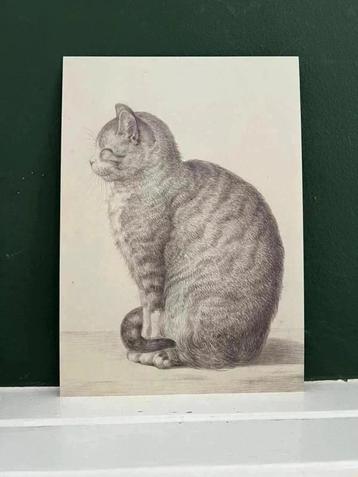 Katten - Kunstkaarten - reproducties op A4 beschikbaar voor biedingen