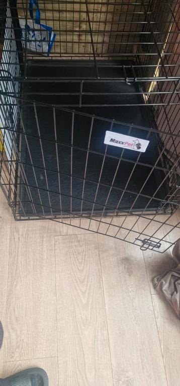 Honden bench beschikbaar voor biedingen
