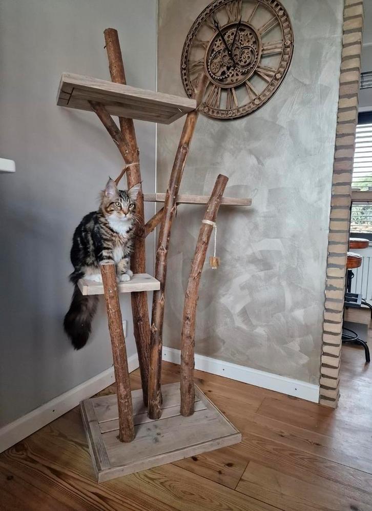 Krabpaal Lotje, Dieren en Toebehoren, Krabmeubelen, Nieuw, Krabpaal, Ophalen