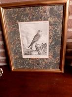 kopergravure in lijst, Antiek en Kunst, Kunst | Etsen en Gravures, Ophalen of Verzenden