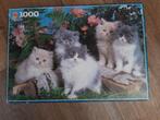 Puzzel perzische katten 1000 stukjes, Ophalen of Verzenden, 500 t/m 1500 stukjes, Gebruikt, Legpuzzel