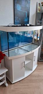 Juwel 260 met kast, verlichting en filter, Ophalen, Gebruikt, Leeg aquarium