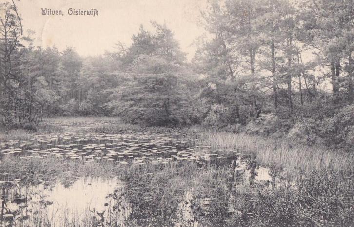 Oisterwijk,  Witven 1920, Verzamelen, Ansichtkaarten | Nederland, Gelopen, Noord-Brabant, 1940 tot 1960, Ophalen of Verzenden