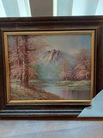 Schilderij met berglandschap, Ophalen of Verzenden