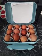 Snackpack Tupperware nieuw, Huis en Inrichting, Keuken | Tupperware, Verzenden, Nieuw, Overige typen
