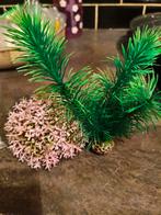 2 Biorb aquarium planten., Ophalen of Verzenden, Zo goed als nieuw, Plant(en), Steen of Hout