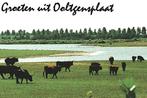 963855	Ooltgensplaat	ZH	Mooie Oude kaart onbeschreven, Ophalen of Verzenden, Ongelopen, Zuid-Holland