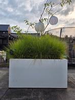 Witte aluminium plantenbak 120x120x60, Ophalen, Gebruikt, 100 cm of meer, Vierkant