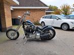 harley davidson eigenbouw, Motoren, 2 cilinders, Bedrijf, Meer dan 35 kW, 1200 cc