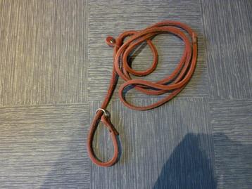 Hondenriem voor de kleine hond. beschikbaar voor biedingen