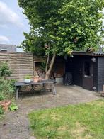 Klinkers, Tuin en Terras, Ophalen, Beton, Klinkers