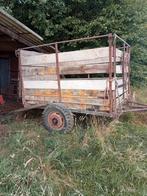 Veewagen, Dieren en Toebehoren, Schapen, Geiten en Varkens, Meerdere dieren, Schaap, 6 jaar of ouder