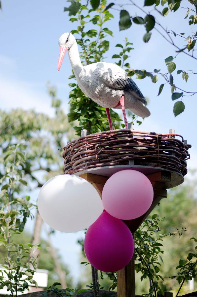 Te huur: “Levensechte” originele geboorte 3D ooievaar !, Kinderen en Baby's, Kraamcadeaus en Geboorteborden, Gebruikt, Ophalen