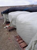 GESEALDE KUILGRAS, Dieren en Toebehoren, Dierenvoeding, Ophalen, Vee