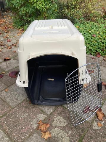 Honden bench beschikbaar voor biedingen