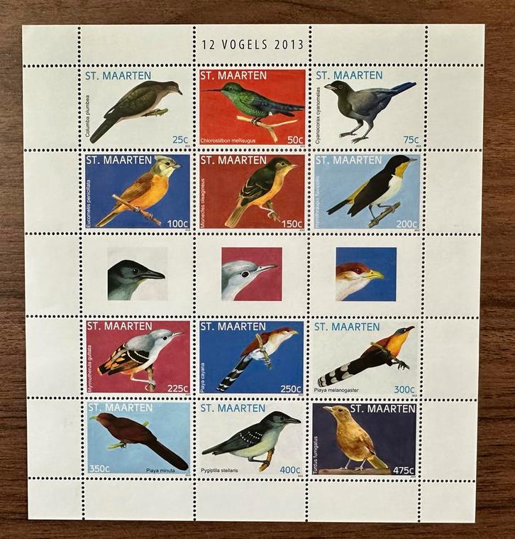 Postzegels Sint Maarten 2013 Vogels - Postfris, Postzegels en Munten, Postzegels | Nederlandse Antillen en Aruba, Postfris, Ophalen of Verzenden