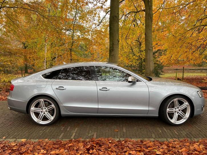 Audi A5 2.7 TDI | Sportback | S-line | Automaat 2010, Auto's, Audi, Particulier, A5, ABS, Airbags, Airconditioning, Alarm, Bluetooth