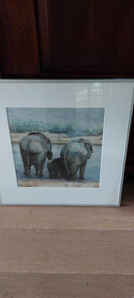 Olifanten ingelijst, Verzamelen, Foto's en Prenten, Zo goed als nieuw, Dier, Voor 1940, Ophalen of Verzenden