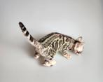 Bengaal katertje zilver gecastreerd gechipt gevaccineerd, Dieren en Toebehoren, Katten en Kittens | Raskatten | Korthaar, Kater