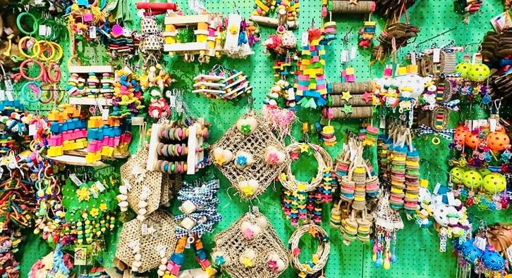 gratis kortwieken &nagels knippen javabomen/kooien/speelgoed, Dieren en Toebehoren, Vogels | Toebehoren, Nieuw, Zand en Verzorging