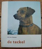 De teckel - Jan van Rheenen - hardcover, Boeken, Dieren en Huisdieren, Honden, Ophalen of Verzenden, Zo goed als nieuw, Jan van Rheenen