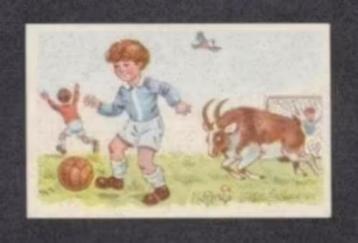 Fantasie Voetbal Jongens Bok Vogel. beschikbaar voor biedingen