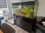 Te koop: Compleet Aquarium, Dieren en Toebehoren, Vissen | Aquaria en Toebehoren, Ophalen of Verzenden, Gevuld zoetwateraquarium