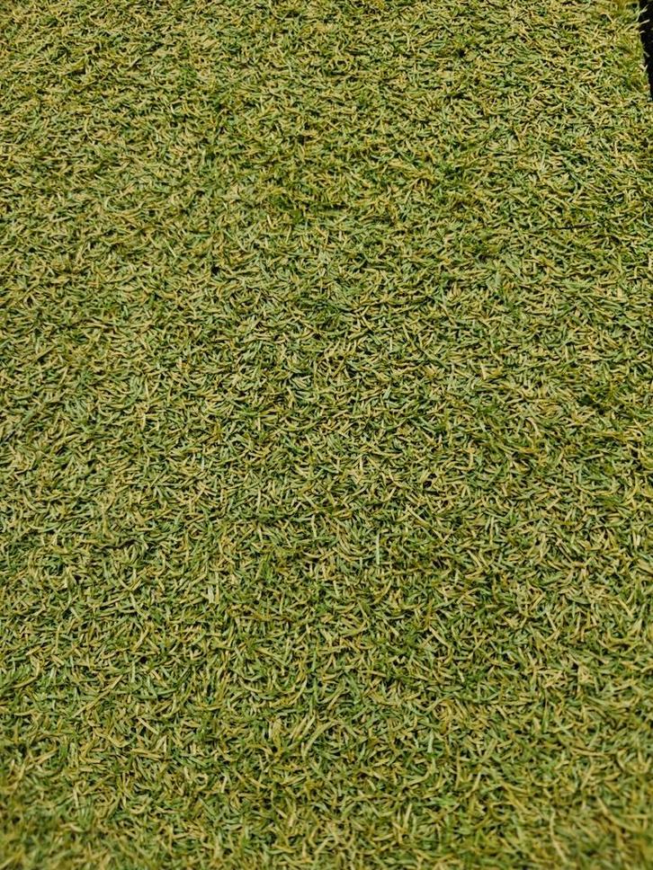 Kunstgras tegels – B-keus kwaliteit – 50x50x2.5cm, Tuin en Terras, Gras en Kunstgras, Nieuw, Kunstgras, Minder dan 10 m², Ophalen