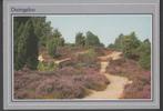 Dwingeloo Natuur Heide Gelopen 1989, Verzamelen, Verzenden, 1980 tot heden, Gelopen, Gelderland