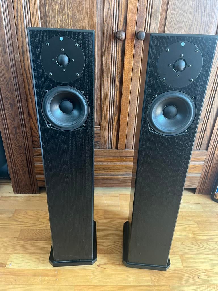 Prachtige Totem Staff set te koop, Audio, Tv en Foto, Luidsprekers, Zo goed als nieuw, 60 tot 120 watt, Front, Rear of Stereo speakers